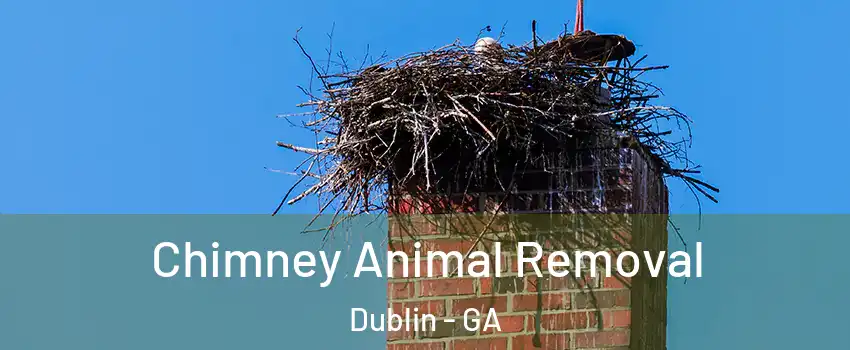 Chimney Animal Removal Dublin - GA