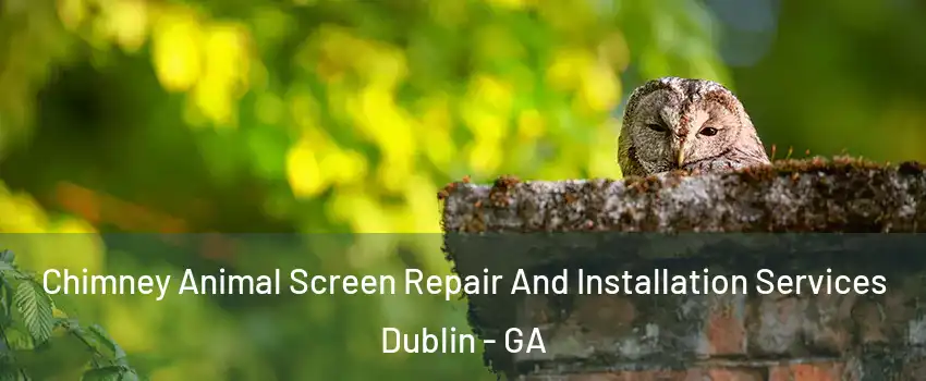  Chimney Animal Screen Repair And Installation Services Dublin - GA