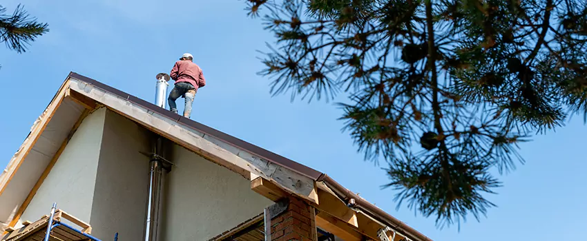 Birds Removal Contractors from Chimney in Dublin, GA